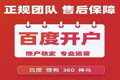 高效SEM托管公司案例对比分析